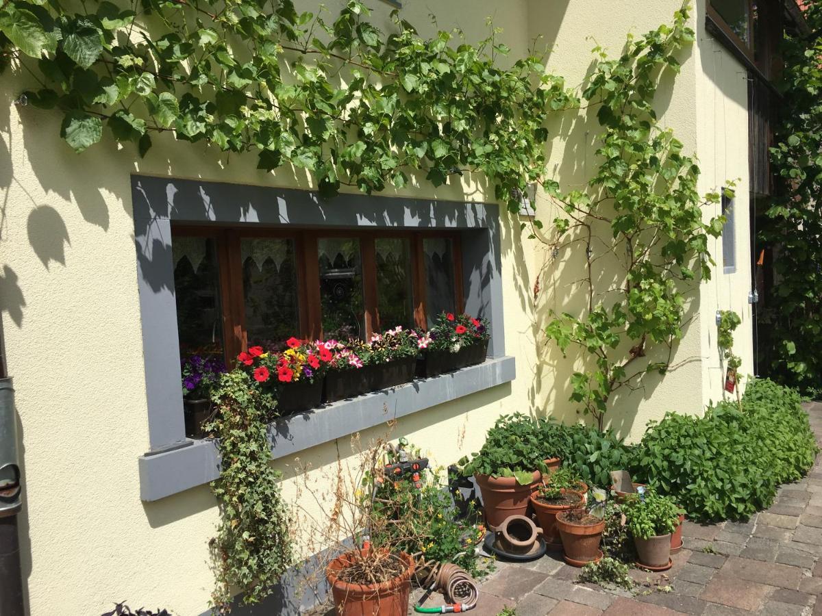 Ferienhaus Mit Naturgarten Dachsen Exterior photo